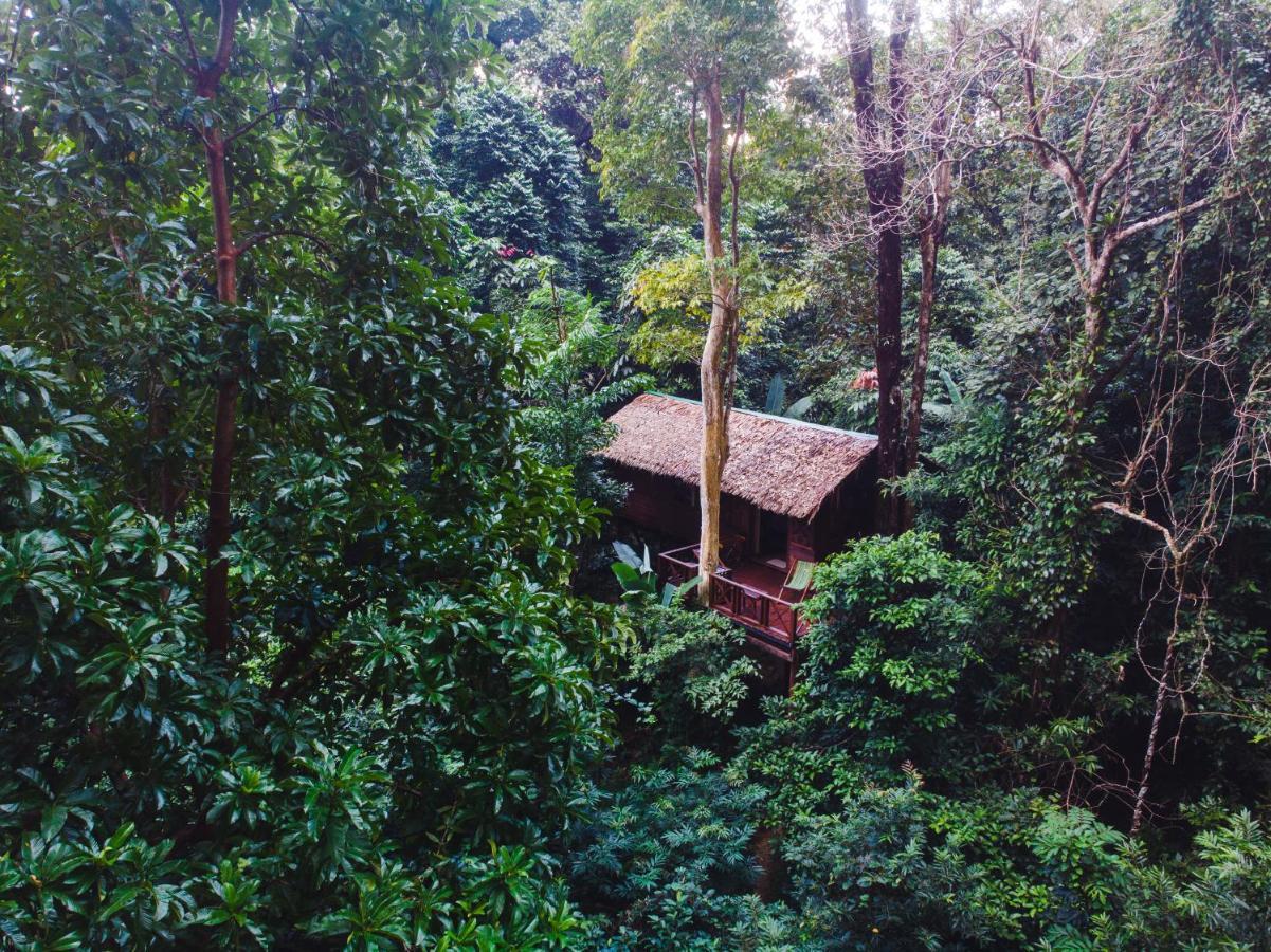 Готель Our Jungle House Khao Sok National Park Екстер'єр фото