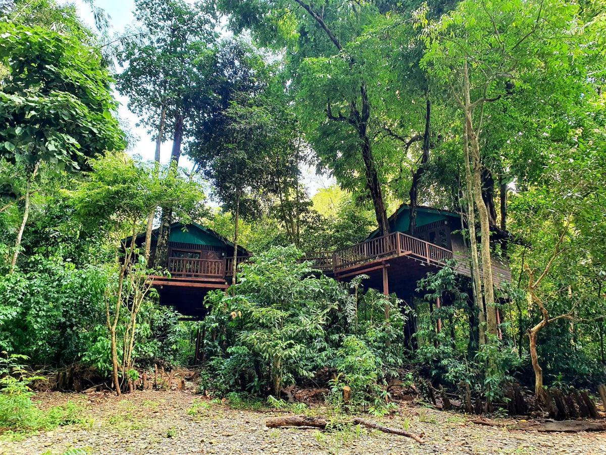 Готель Our Jungle House Khao Sok National Park Екстер'єр фото