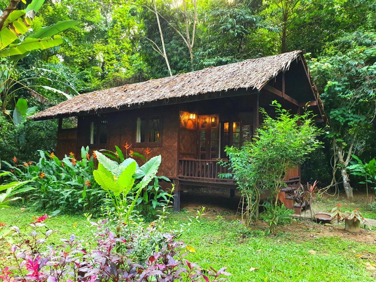 Готель Our Jungle House Khao Sok National Park Екстер'єр фото