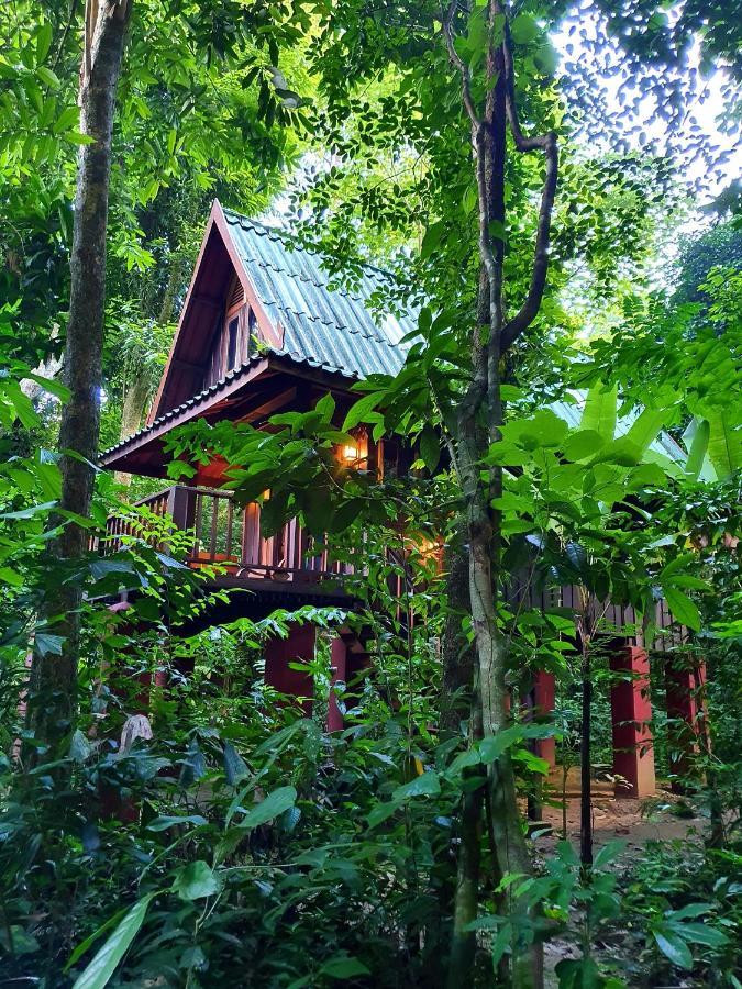 Готель Our Jungle House Khao Sok National Park Екстер'єр фото