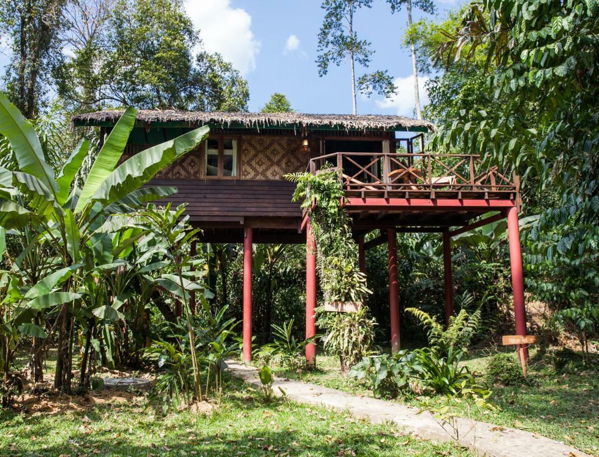 Готель Our Jungle House Khao Sok National Park Екстер'єр фото